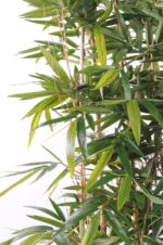 Künstliche Bambushecke, ca. 150cm hoch – Bild 2