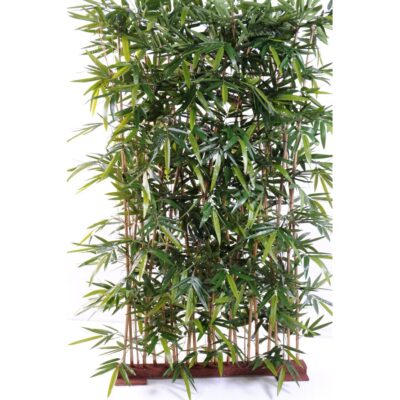 bamboo new hedge 8