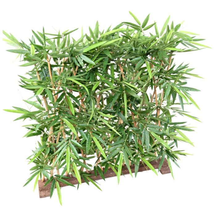 bamboo new hedge uv base 95 4