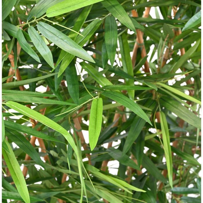 bamboo new hedge uv base 95 6