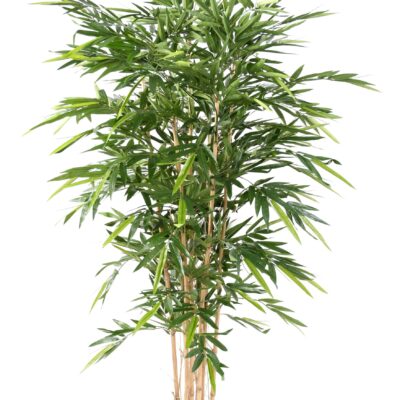 bamboo new luxury 1 scaled