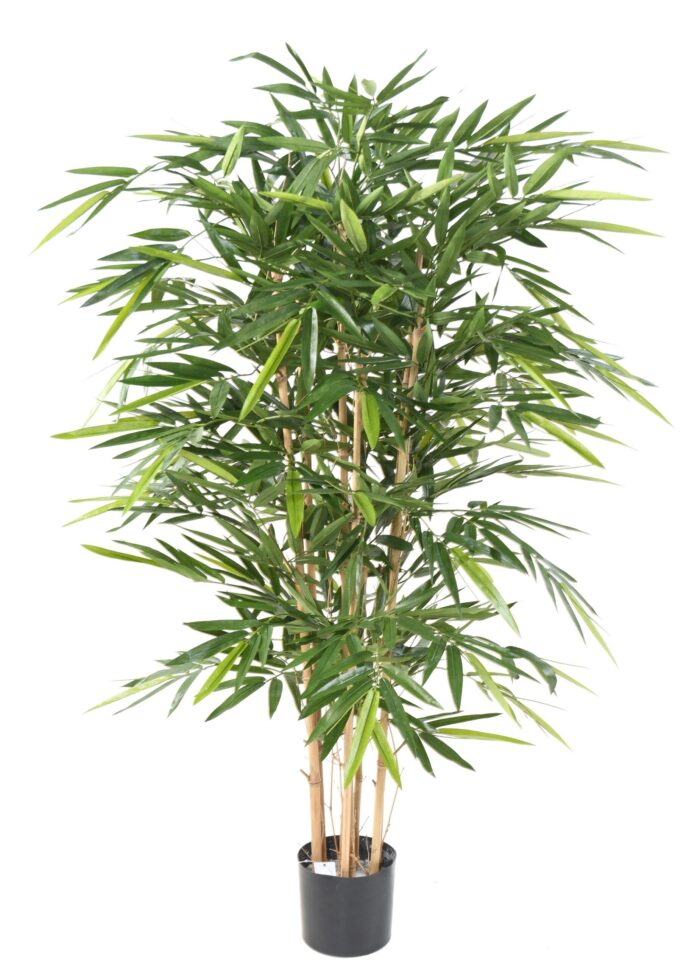 bamboo new luxury scaled