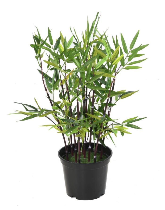 bamboo tb scaled