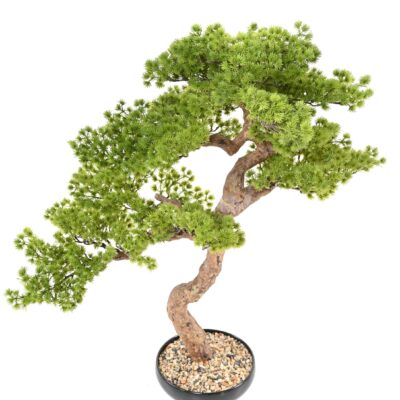 bonsai pin 90 scaled