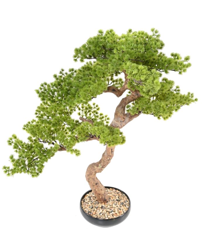 bonsai pin 90 scaled