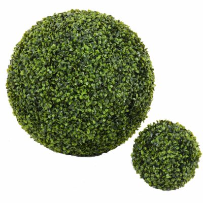 boxwood ball gr 4 scaled