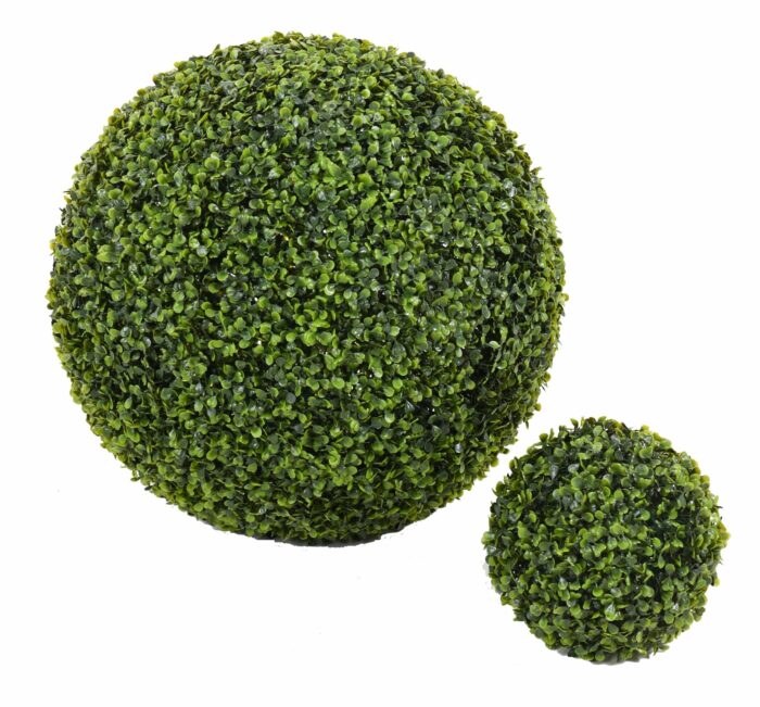 boxwood ball gr 4 scaled