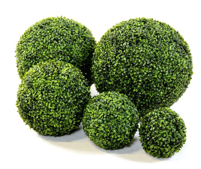 boxwood ball gr scaled