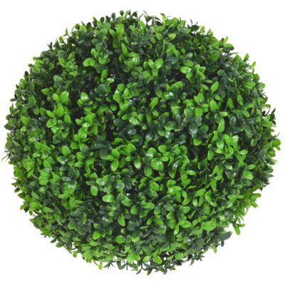 boxwood ball m 1 scaled