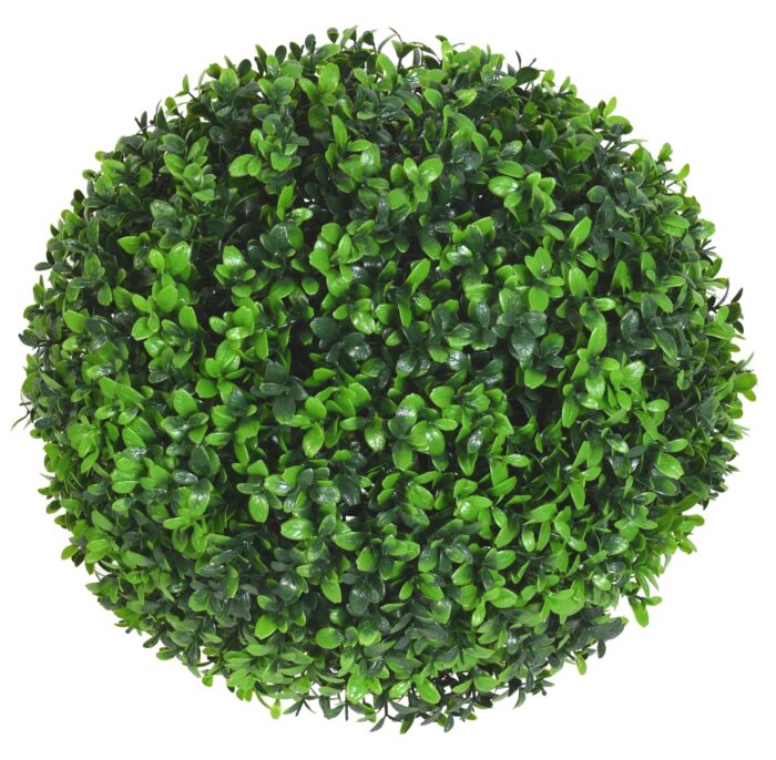 boxwood ball m 1 scaled