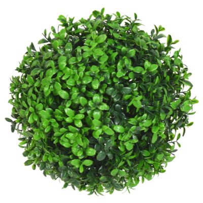 boxwood ball m