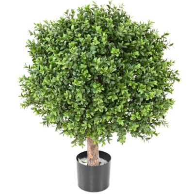 boxwood ball new 2 scaled