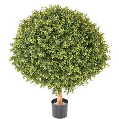 boxwood ball new 5 scaled