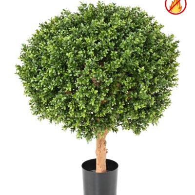boxwood ball new diam 50 fr fire resistant scaled