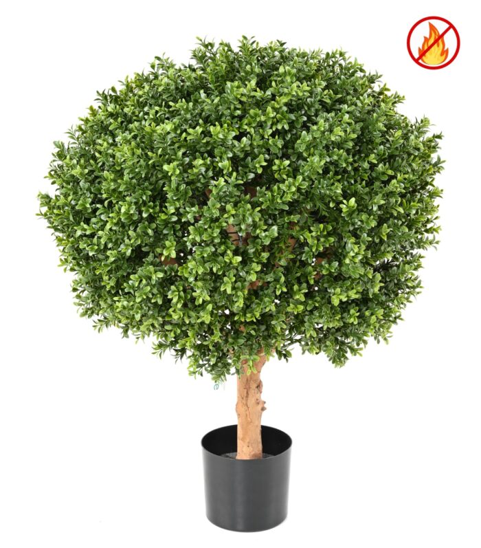 boxwood ball new diam 50 fr fire resistant scaled
