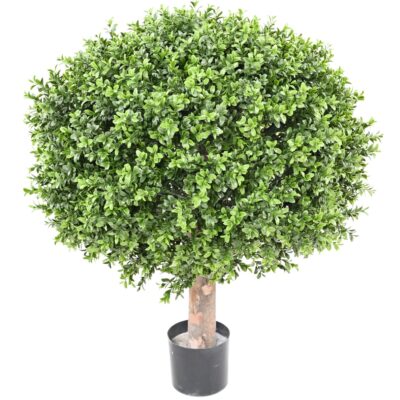 boxwood ball new regular diam 65 uv scaled