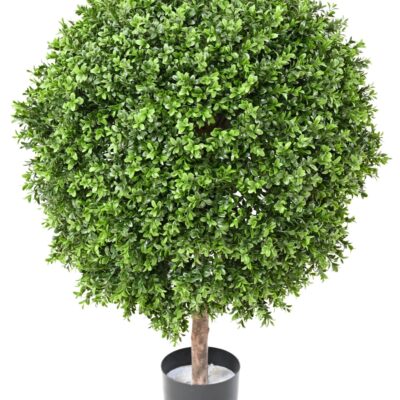 boxwood ball new regular diam 70 uv scaled