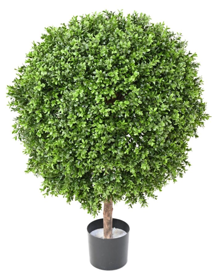 boxwood ball new regular diam 70 uv scaled