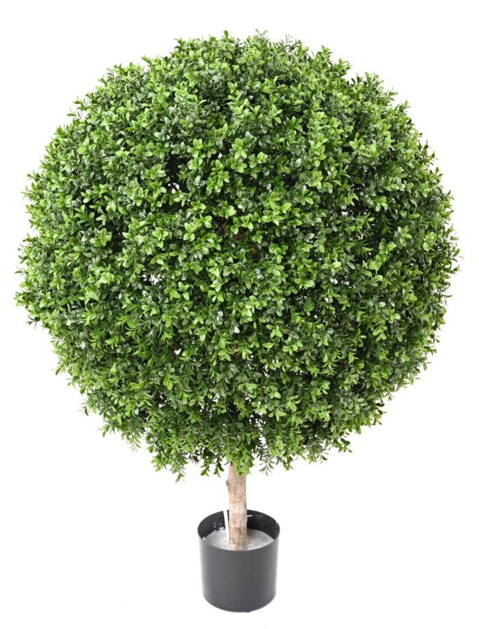 boxwood ball new regular diam 80 uv scaled