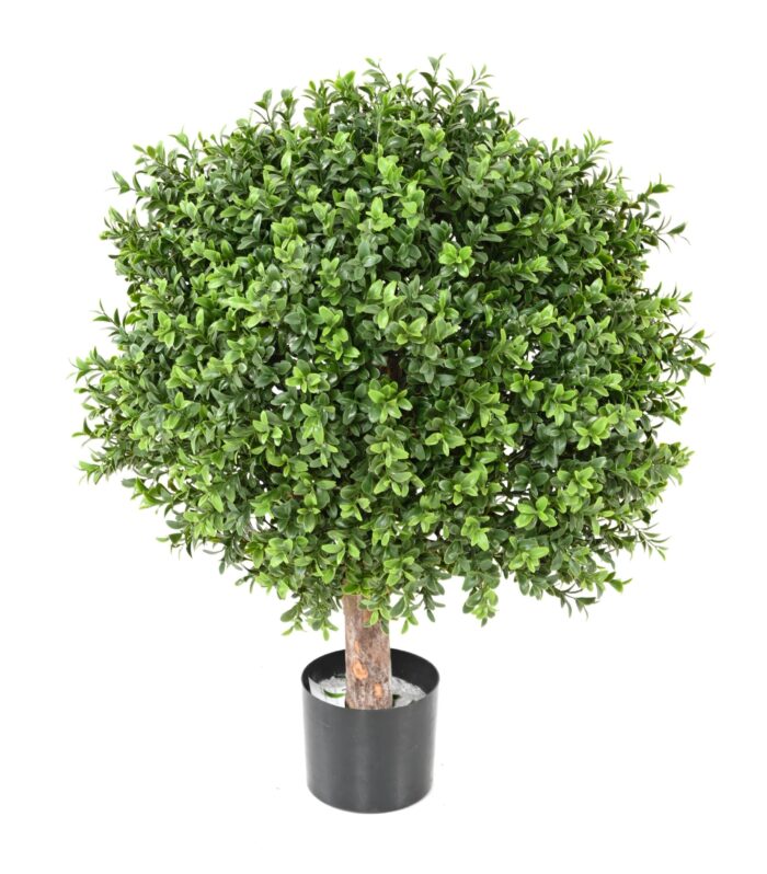 boxwood ball new uv resistant 1 scaled