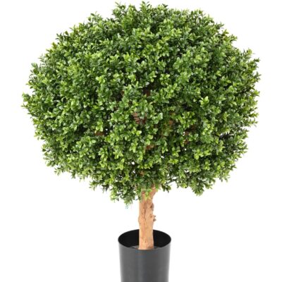boxwood ball new uv resistant 2 scaled