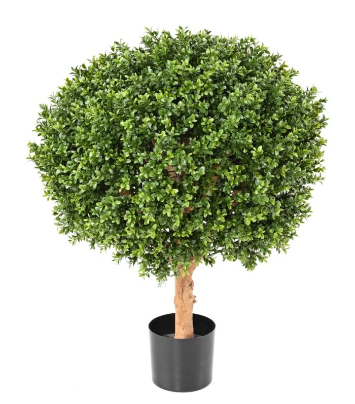 boxwood ball new uv resistant 2 scaled