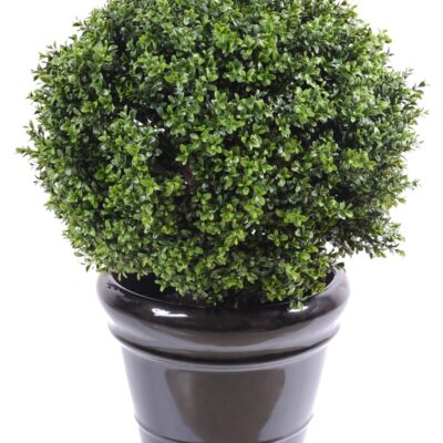 boxwood ball new uv resistant 3