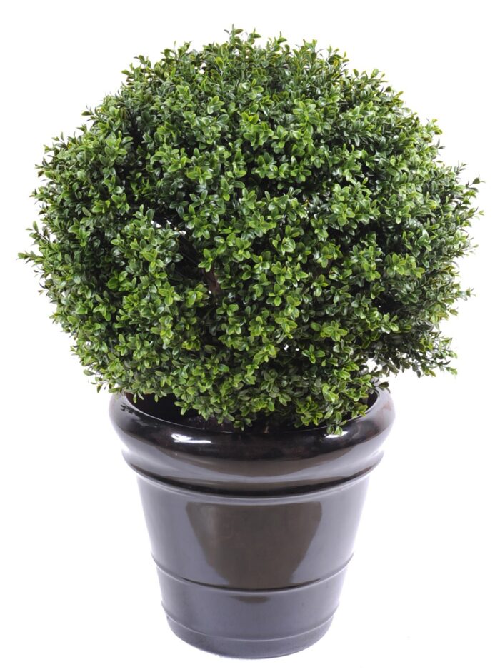 boxwood ball new uv resistant 3