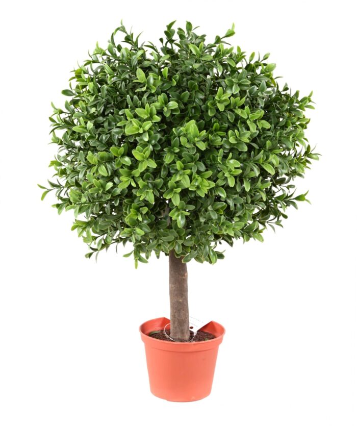 boxwood ball new uv resistant scaled
