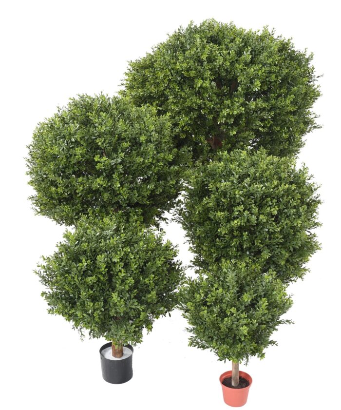 boxwood ball red day uv 4 scaled