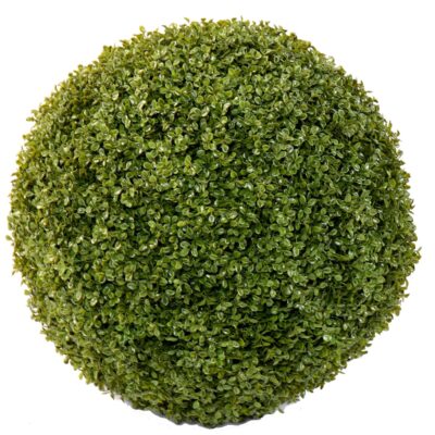 boxwood ball stk 2 scaled