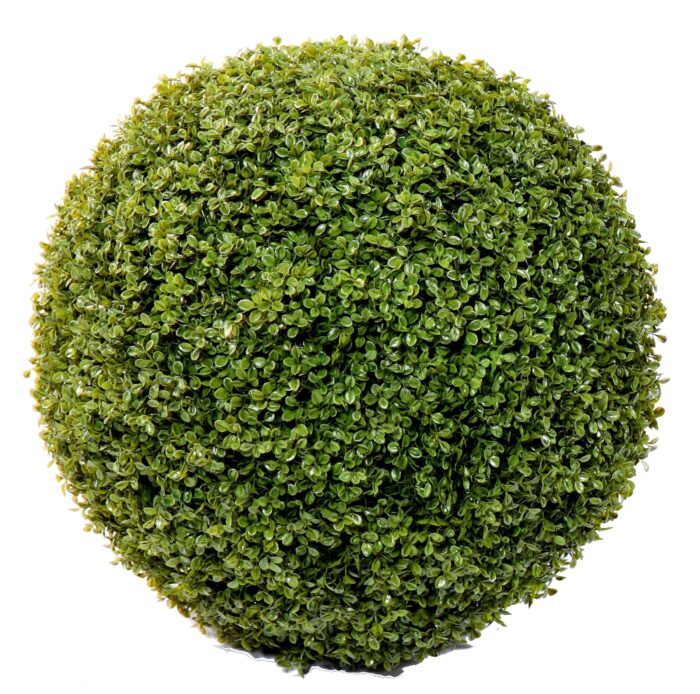 boxwood ball stk 3 scaled