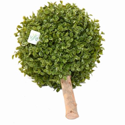 boxwood ball stk