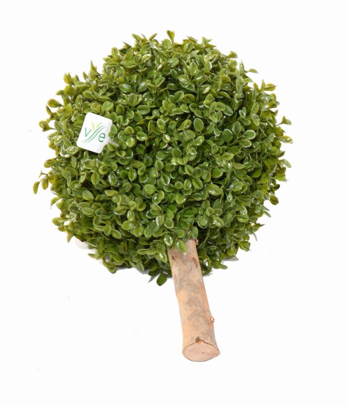 boxwood ball stk
