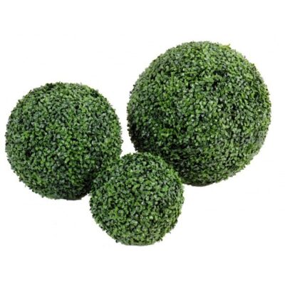 boxwood ball v