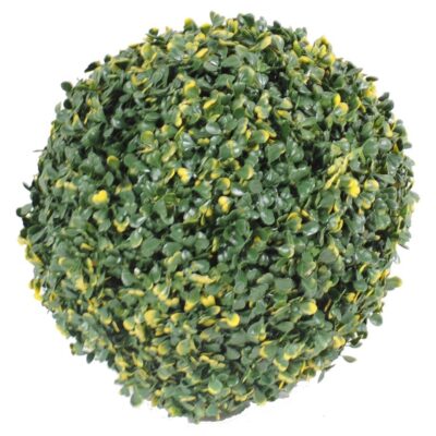 boxwood ball vg