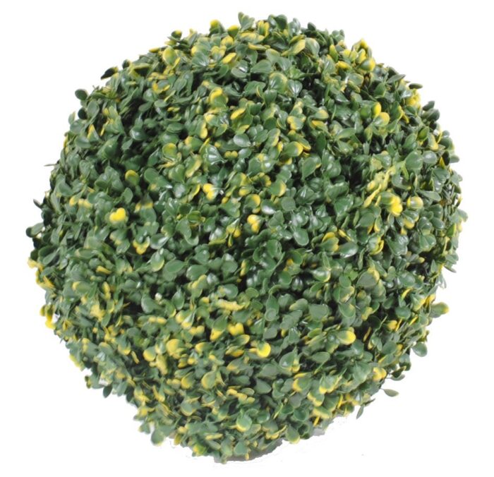 boxwood ball vg