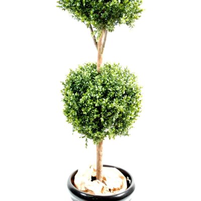 boxwood double ball stem new 1