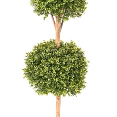 boxwood double ball stem new scaled