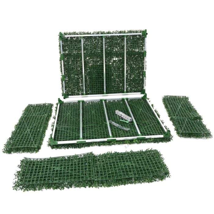 boxwood hedge 2