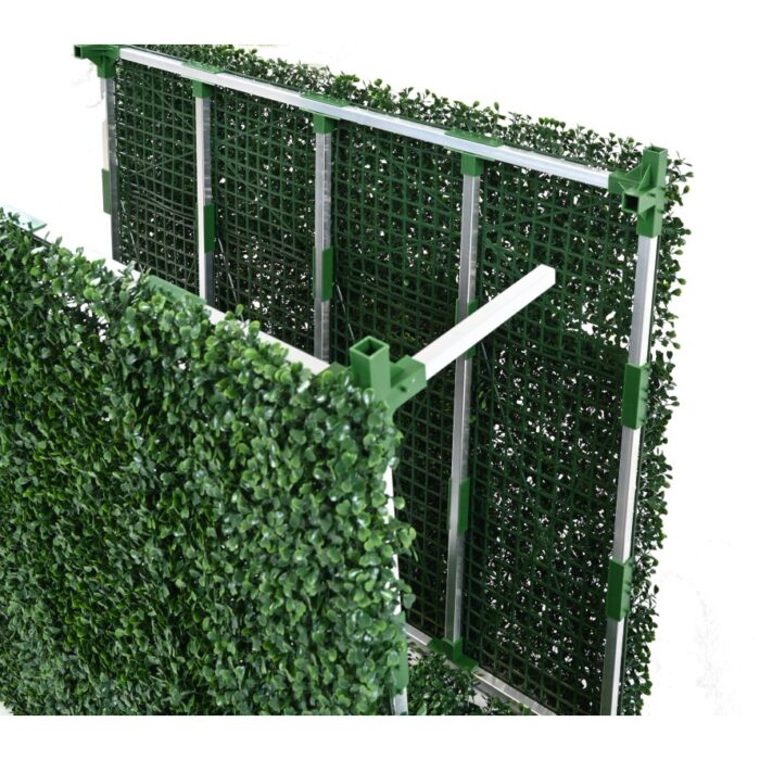 boxwood hedge 3