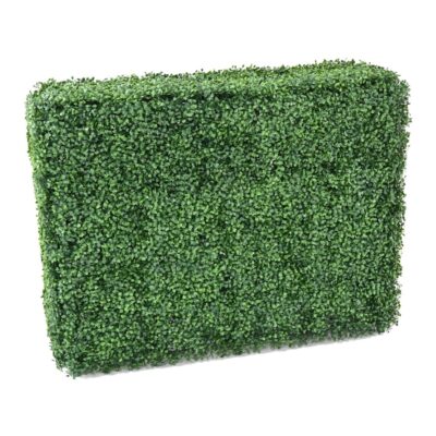 boxwood hedge