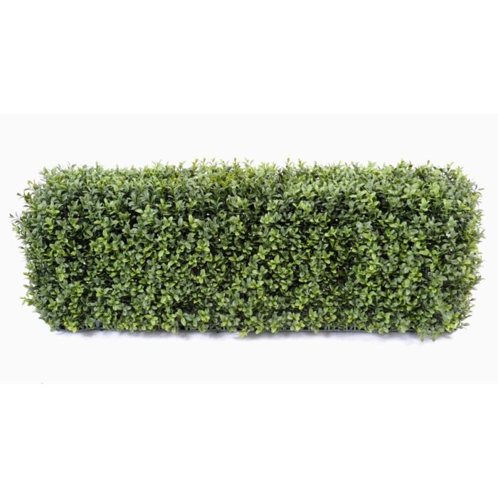 boxwood hedge new metal structure 1