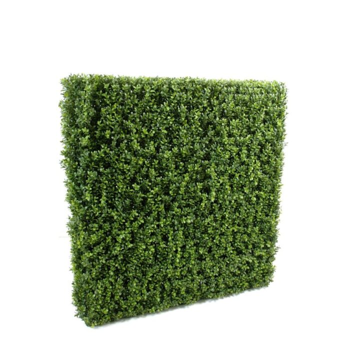 boxwood hedge new metal structure 16
