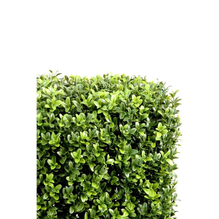 boxwood hedge new metal structure 17