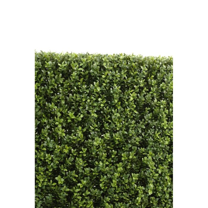boxwood hedge new metal structure 18