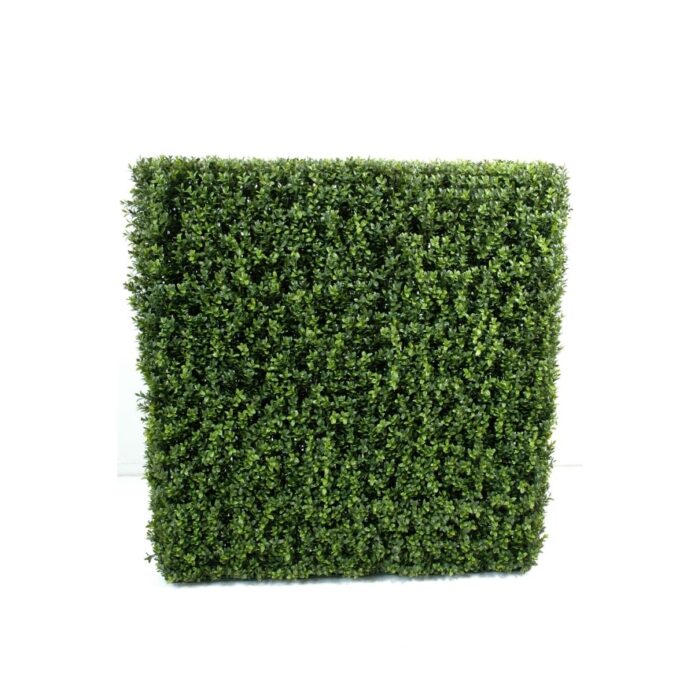 boxwood hedge new metal structure 19