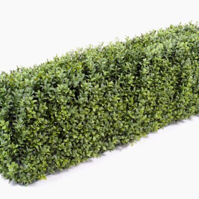 boxwood hedge new metal structure 4