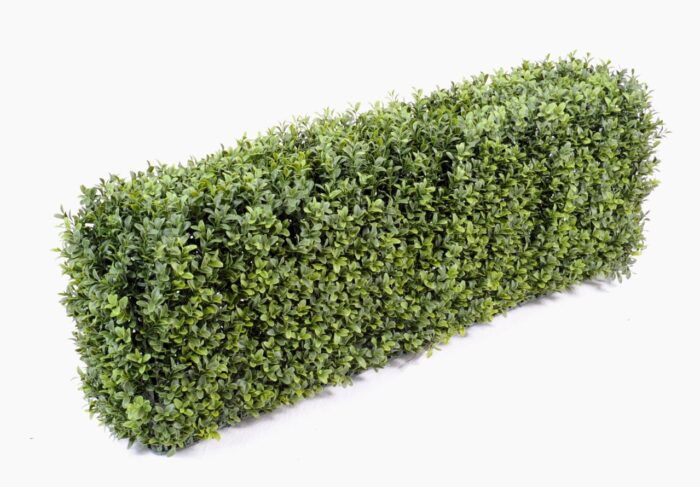 boxwood hedge new metal structure 4