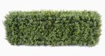 Künstliche Buchsbaumhecke, realistische Blätter, ca. 62cm hoch – Bild 2